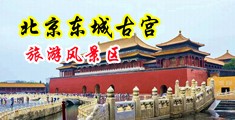 黑大屌日美女穴中国北京-东城古宫旅游风景区